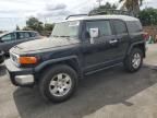 2007 Toyota FJ Cruiser