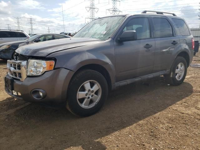 2009 Ford Escape XLT