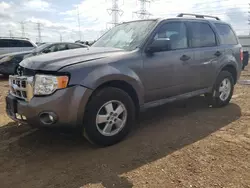 Ford Escape salvage cars for sale: 2009 Ford Escape XLT