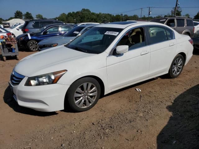 2012 Honda Accord EXL