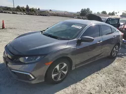 Salvage cars for sale at Mentone, CA auction: 2019 Honda Civic LX