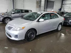 Salvage cars for sale at Ham Lake, MN auction: 2013 Toyota Corolla Base