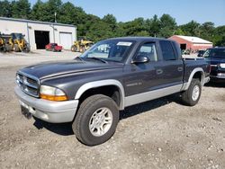 Salvage cars for sale from Copart Mendon, MA: 2002 Dodge Dakota Quad SLT