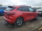 2023 Ford Escape ST Line