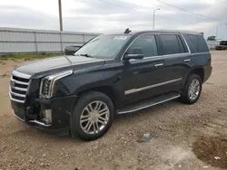 Cadillac salvage cars for sale: 2016 Cadillac Escalade