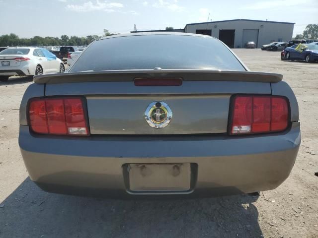 2005 Ford Mustang