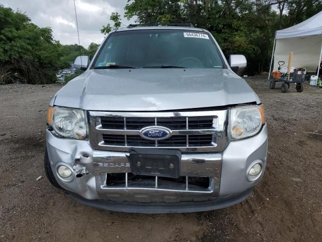 2011 Ford Escape Limited