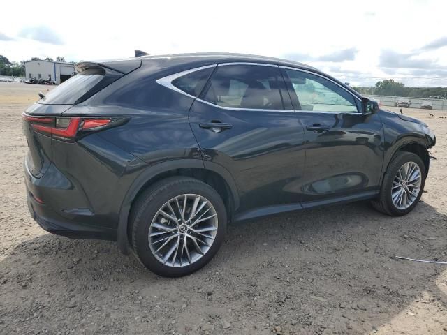 2023 Lexus NX 350H