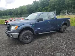 Ford f150 Super cab salvage cars for sale: 2013 Ford F150 Super Cab