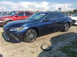 Salvage cars for sale at Tifton, GA auction: 2023 Lexus ES 300H Base