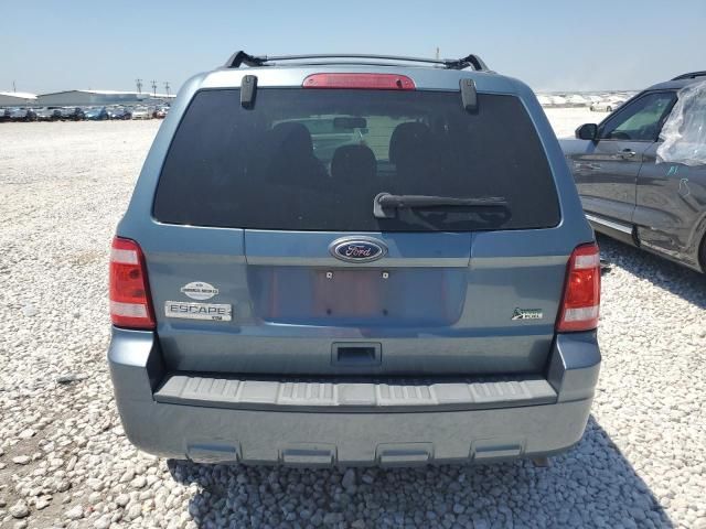 2010 Ford Escape XLT