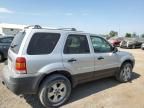 2005 Ford Escape XLT