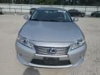 2013 Lexus ES 300H