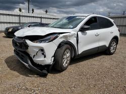 Salvage cars for sale at Mercedes, TX auction: 2023 Ford Escape Active