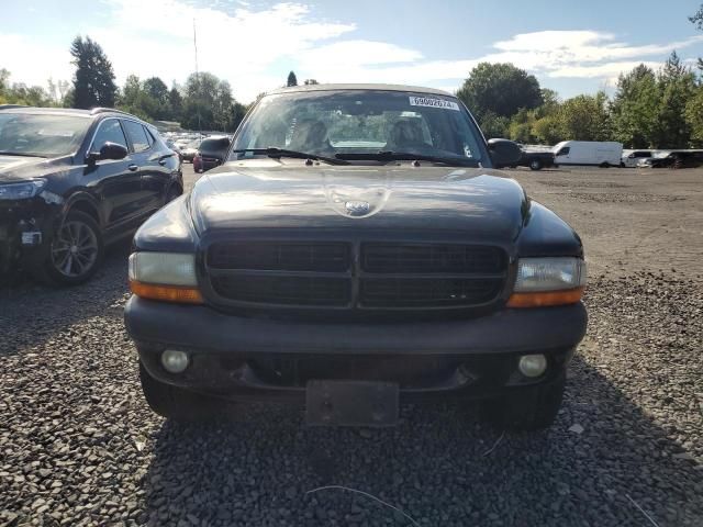 2001 Dodge Dakota