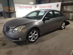 Salvage cars for sale at Eldridge, IA auction: 2005 Nissan Maxima SE