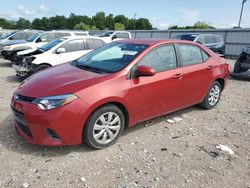 Toyota salvage cars for sale: 2016 Toyota Corolla L