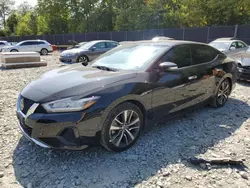 Salvage cars for sale from Copart Waldorf, MD: 2020 Nissan Maxima SV