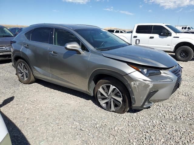 2019 Lexus NX 300H