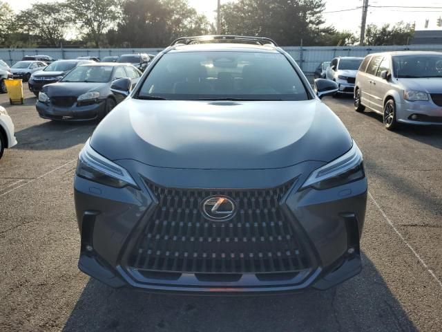 2023 Lexus NX 350