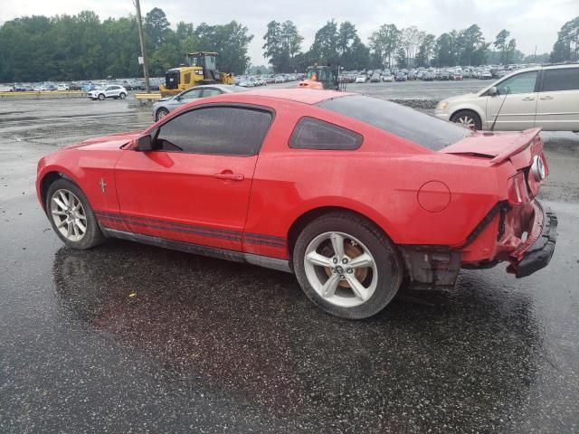 2010 Ford Mustang