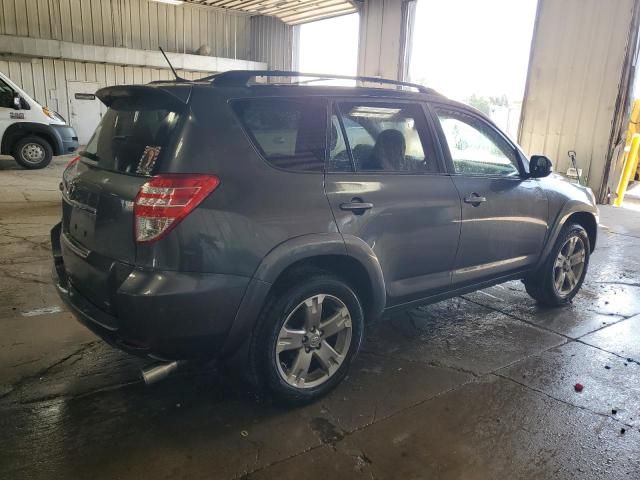 2010 Toyota Rav4 Sport