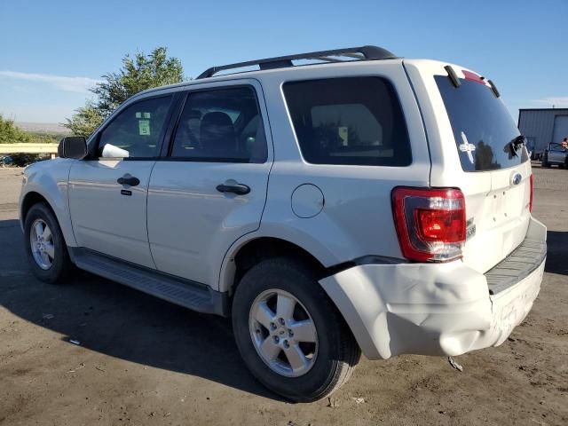 2009 Ford Escape XLT