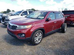 Salvage cars for sale from Copart Hillsborough, NJ: 2011 KIA Sorento EX