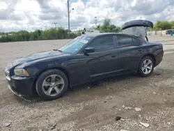 Dodge salvage cars for sale: 2013 Dodge Charger SXT