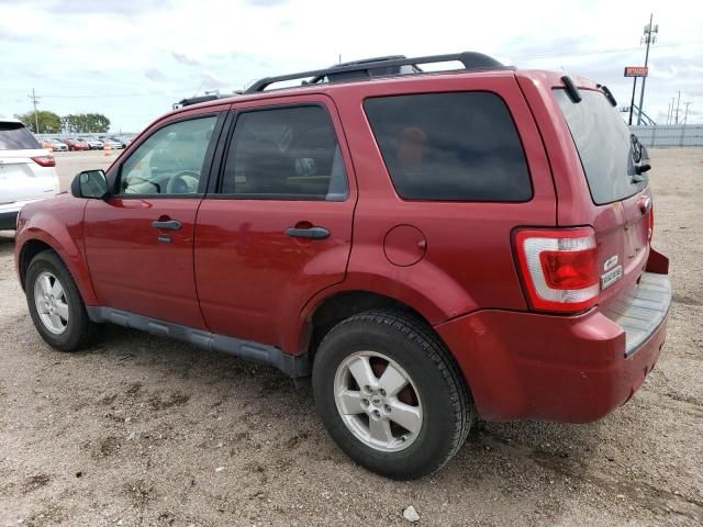 2012 Ford Escape XLT