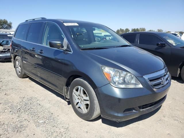 2005 Honda Odyssey EXL