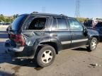 2002 Chevrolet Trailblazer