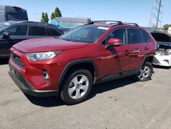 Salvage cars for sale at American Canyon, CA auction: 2020 Toyota Rav4 XLE