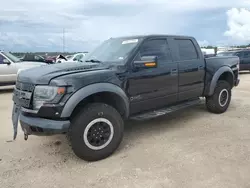 Ford Vehiculos salvage en venta: 2014 Ford F150 SVT Raptor