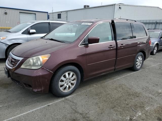 2010 Honda Odyssey EXL