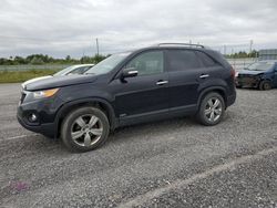 Salvage cars for sale at auction: 2013 KIA Sorento EX