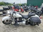 2005 Harley-Davidson Flstci