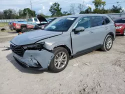 Salvage cars for sale at Riverview, FL auction: 2024 Honda CR-V EXL