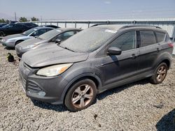 Salvage cars for sale at Reno, NV auction: 2013 Ford Escape SE