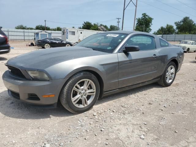 2010 Ford Mustang