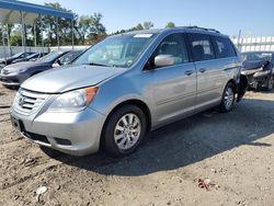 Salvage cars for sale at Spartanburg, SC auction: 2009 Honda Odyssey EXL