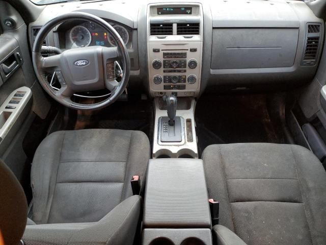 2009 Ford Escape XLT