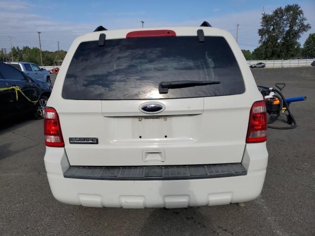 2010 Ford Escape XLT