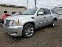 Salvage cars for sale at New Britain, CT auction: 2014 Cadillac Escalade ESV Platinum