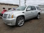 2014 Cadillac Escalade ESV Platinum