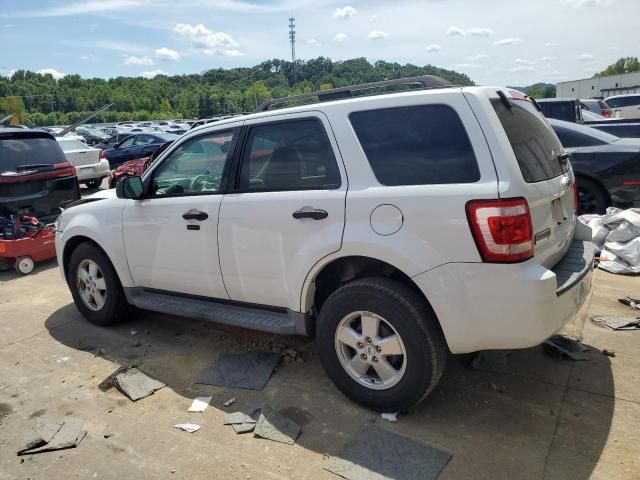 2010 Ford Escape XLT