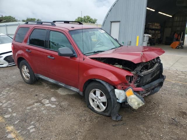 2010 Ford Escape XLT