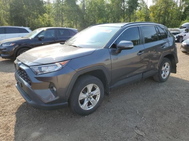 2019 Toyota Rav4 XLE