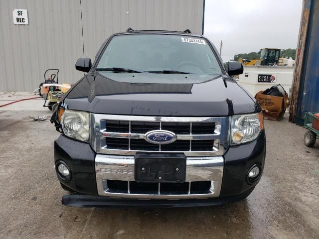 2011 Ford Escape Limited