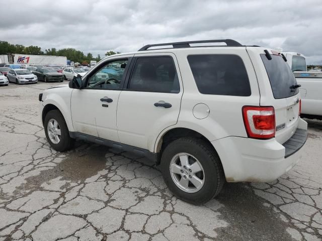 2012 Ford Escape XLT